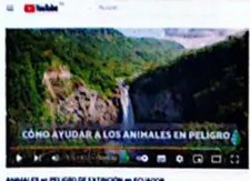 Figura 4 de Ciencias Naturales · 4 EGB · 2025