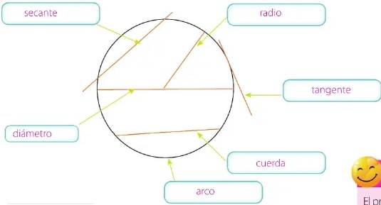 Figura 2 de Matematica · 6 EGB · 2025