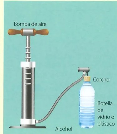 Figura 2 de Ciencias Naturales · 7 EGB · 2024
