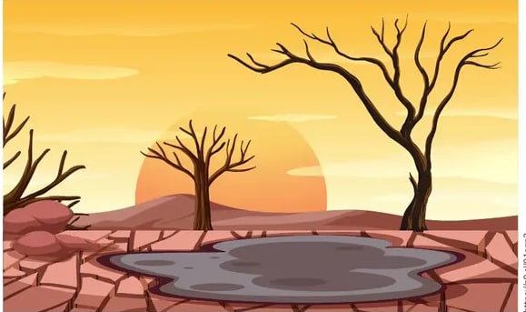 Paisaje árido con suelo agrietado, charco pequeño y árboles sin hojas durante el atardecer (sequía agrícola).
