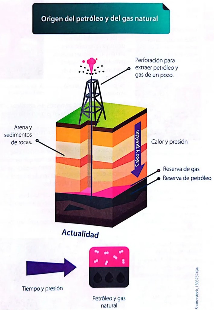Figura 2 de Ciencias Naturales · 4 EGB · 2025