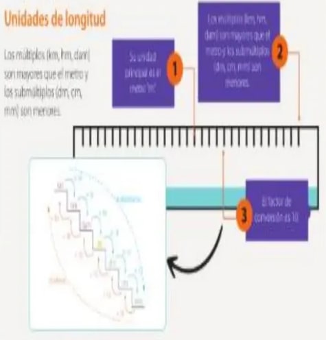 Figura 1 de Matematica · 5 EGB · 2025