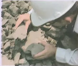 Figura 3 de Ciencias Naturales · 10 EGB · 2024