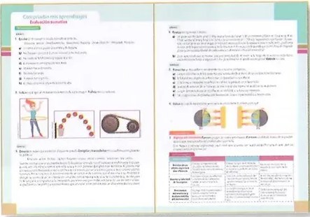 Figura 6 de Ciencias Naturales · 8 EGB · 2025