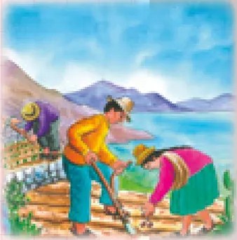 Figura 3 de Aymara arutha chiqapa qillqañataki panka = Manual de escritura Aimara · 2021