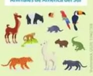 Figura 8 de Lengua Y Literatura · 5 EGB · 2024