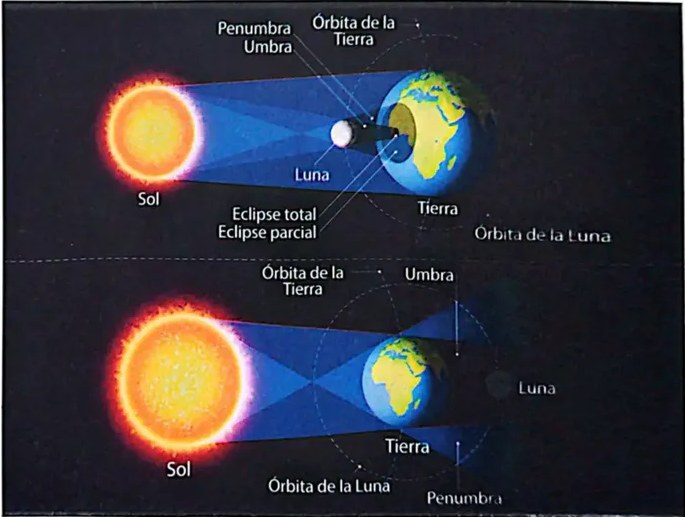 Figura 4 de Ciencias Naturales · 4 EGB · 2025