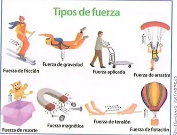 Figura 4 de Ciencias Naturales · 8 EGB · 2025