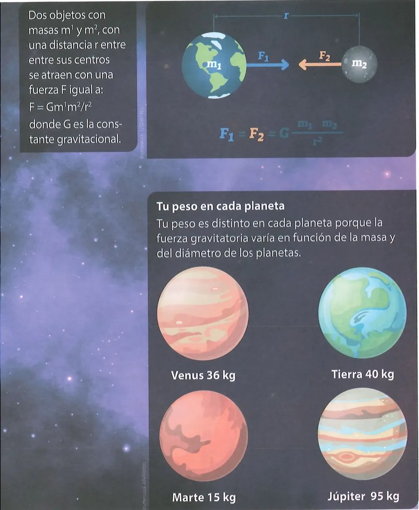 Figura 2 de Ciencias Naturales · 10 EGB · 2024