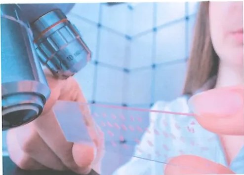 Figura 2 de Ciencias Naturales · 10 EGB · 2024