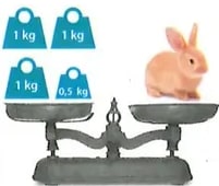Figura 1 de Matematica · 8 EGB · 2025