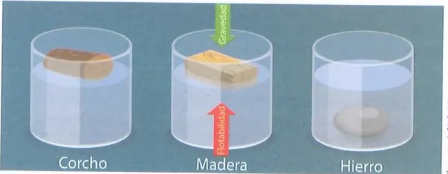 Figura 3 de Ciencias Naturales · 10 EGB · 2024