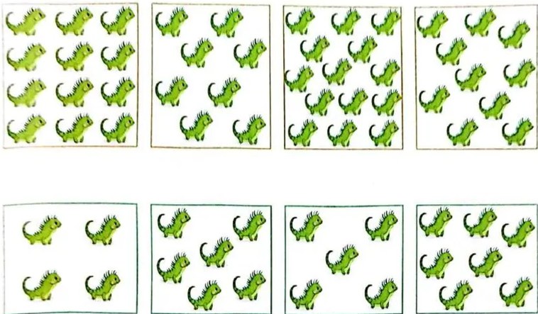 Figura 2 de Matematica · 3 EGB · 2025