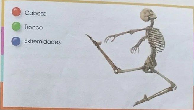 Figura 4 de Ciencias Naturales · 3 EGB · 2024