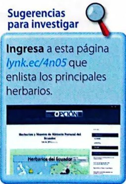 Tarjeta de cartulina para registrar datos de planta.
