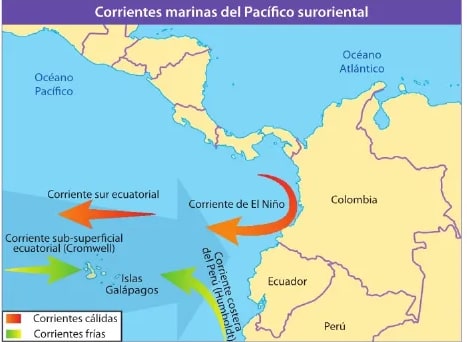 Figura 1 de Ciencias Naturales · 6 EGB · 2025