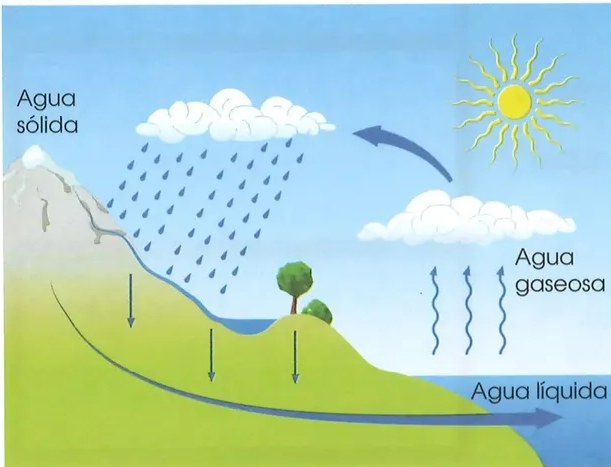 Figura 2 de Ciencias Naturales · 2 EGB · 2025