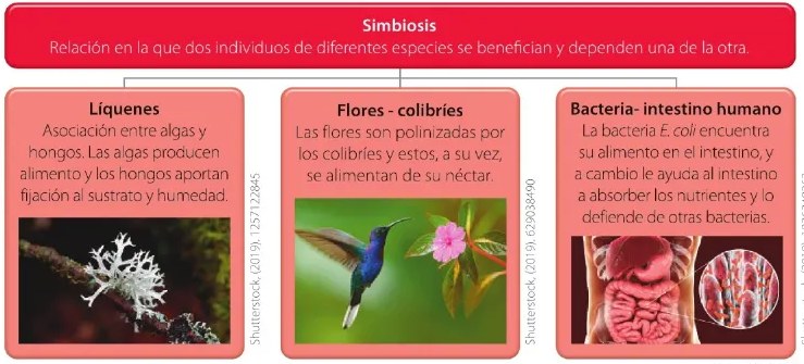 Figura 3 de Ciencias Naturales · 6 EGB · 2025