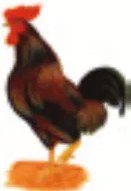 Figura 3 de Aymara arutha chiqapa qillqañataki panka = Manual de escritura Aimara · 2021