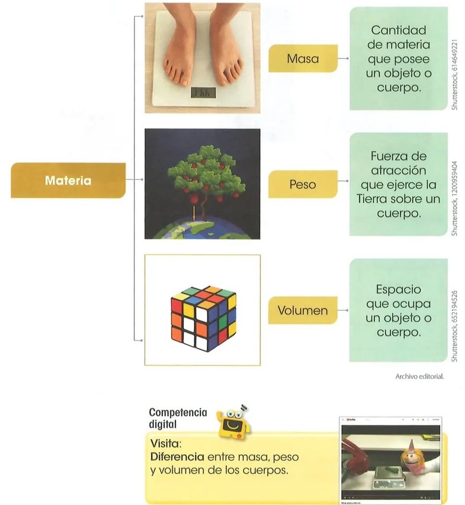 Figura 1 de Ciencias Naturales · 2 EGB · 2025