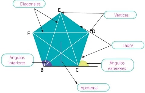Figura 2 de Matematica · 6 EGB · 2025