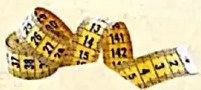 Figura 4 de Matematica · 4 EGB · 2024