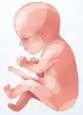 Figura 8 de Ciencias Naturales · 6 EGB · 2025