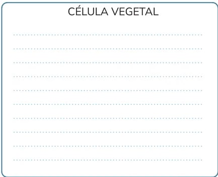 Figura 3 de Biologia · 1ro BGU · 2024