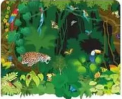 Ilustración de selva tropical con jaguar, tucán y vegetación densa.
