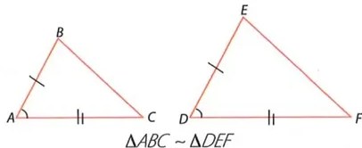 Figura 8 de Matematica · 10 EGB · 2025