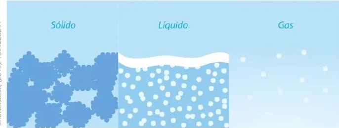 Figura 2 de Ciencias Naturales · 6 EGB · 2025
