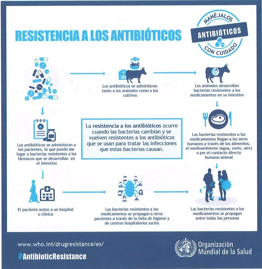Figura 2 de Ciencias Naturales · 9 EGB · 2024
