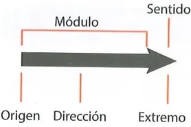 Figura 3 de Ciencias Naturales · 8 EGB · 2025