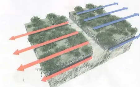 Figura 4 de Ciencias Naturales · 10 EGB · 2024