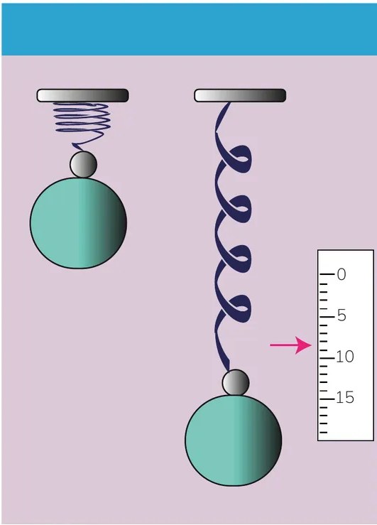 Figura 2 de Fisica · 1ro BGU · 2024