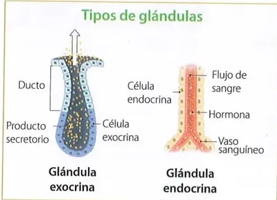 Figura 3 de Ciencias Naturales · 10 EGB · 2024