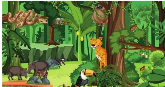 Ilustración de animales de la jungla: serpiente, tapir, mono, jaguar y tucán.