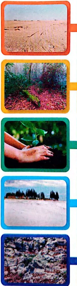 Figura 4 de Ciencias Naturales · 4 EGB · 2025