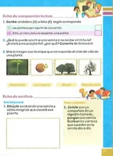 Figura 3 de Ciencias Naturales · 2 EGB · 2025