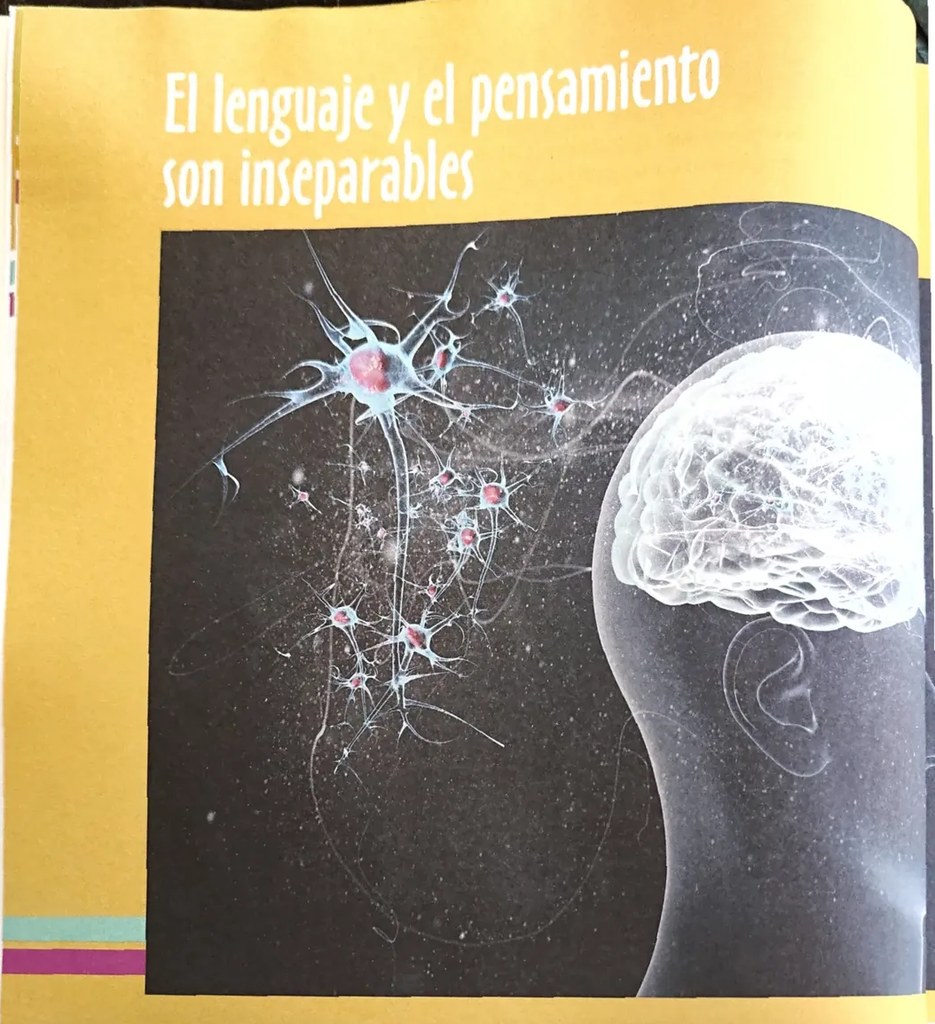 Figura 2 de Lengua Y Literatura · 1 EGB · 2024