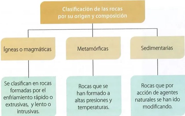 Figura 2 de Ciencias Naturales · 10 EGB · 2024