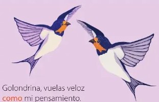 Figura 2 de Lengua Y Literatura · 6 EGB · 2025