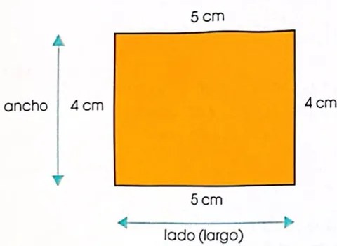 Figura 3 de Matematica · 4 EGB · 2024