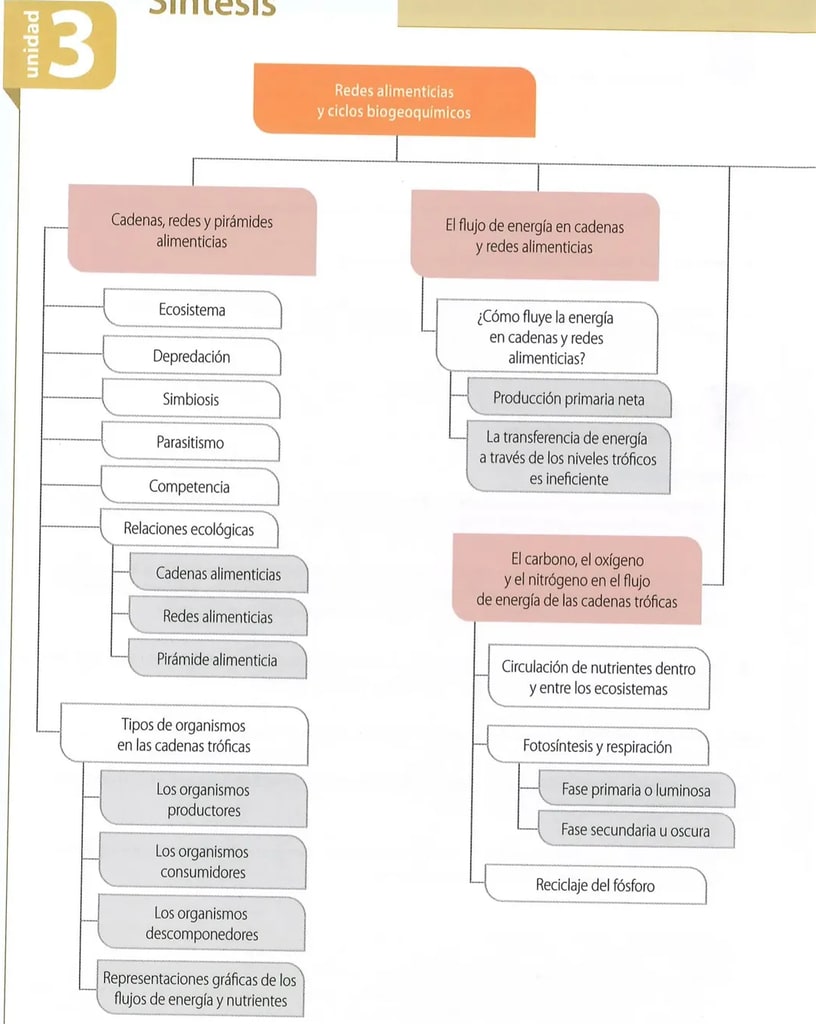 Figura 1 de Ciencias Naturales · 8 EGB · 2025