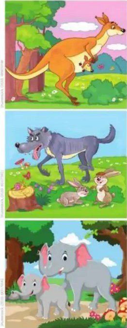 Tres imágenes para describir: canguro, lobo, elefantes.
