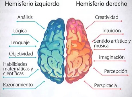 Figura 4 de Ciencias Naturales · 7 EGB · 2024