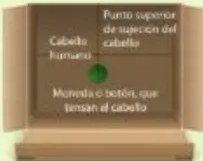 Figura 3 de Ciencias Naturales · 5 EGB · 2024