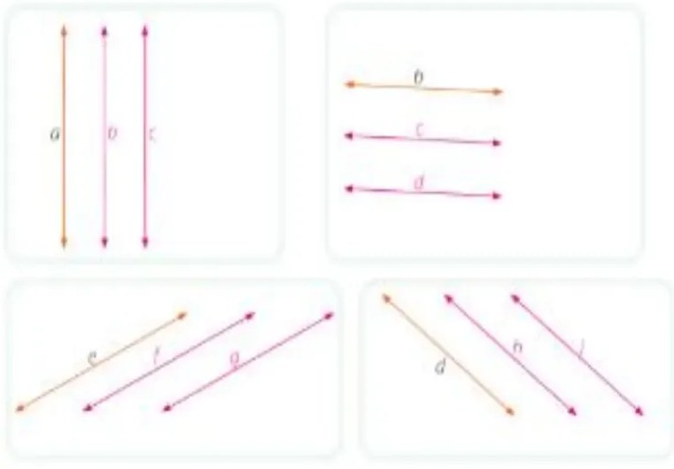 Figura 4 de Matematica · 5 EGB · 2025