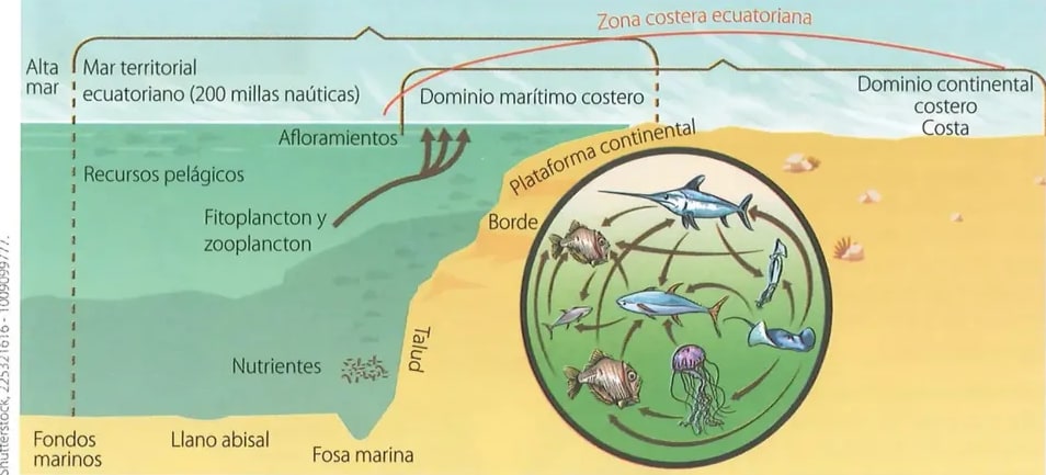 Figura 2 de Estudios Sociales · 8 EGB · 2024