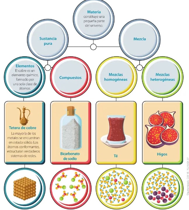 Figura 1 de Ciencias Naturales · 6 EGB · 2025